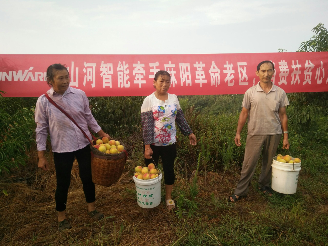 点赞！新宝GG智能成功入选“上市公司乡村振兴优秀实践案例”